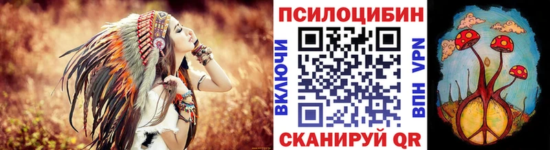 где найти наркотики  Камень-на-Оби  KRAKEN   Псилоцибиновые грибы GOLDEN TEACHER 